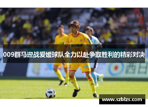 009群马迎战爱媛球队全力以赴争取胜利的精彩对决